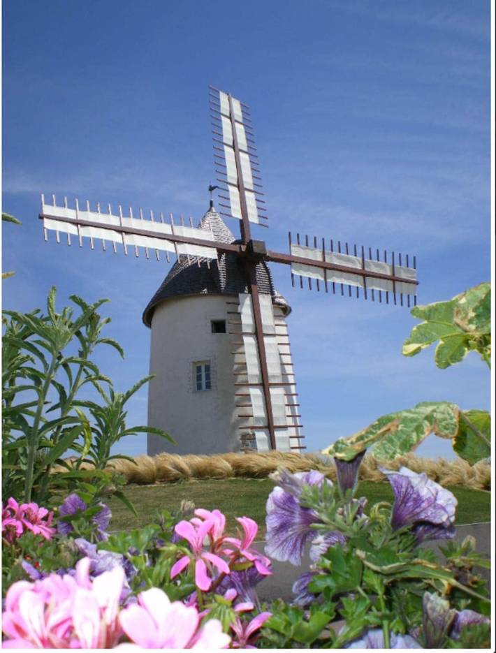 Location de vacances pour 6 personnes, avec jardin à Jard-sur-Mer - 4