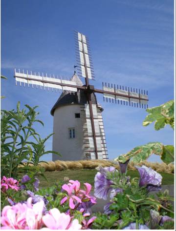 Vakantiehuis voor 6 Personen in Jard-sur-Mer, Vendée, Afbeelding 3