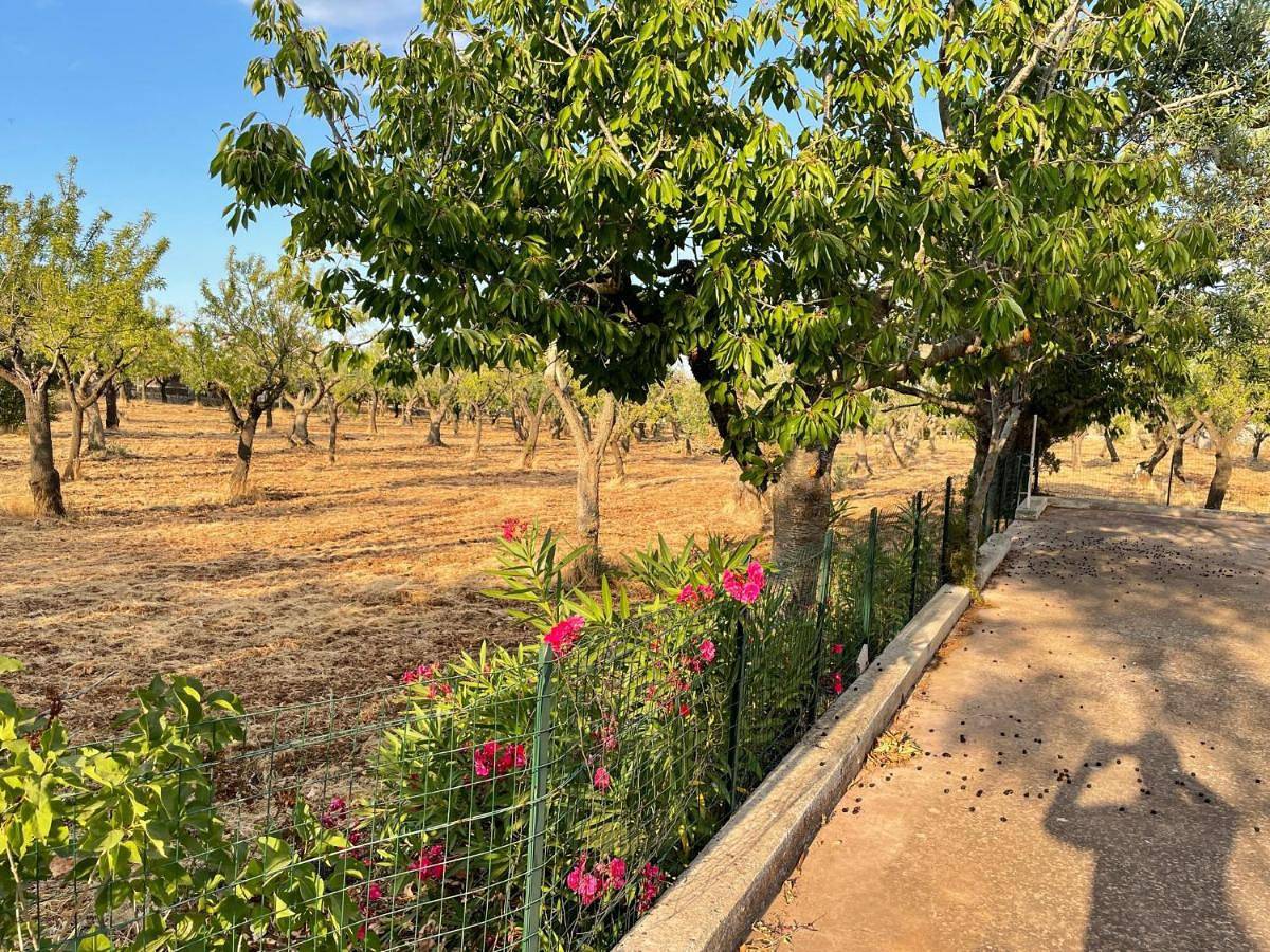 Villa in Putignano, Provincia di Bari