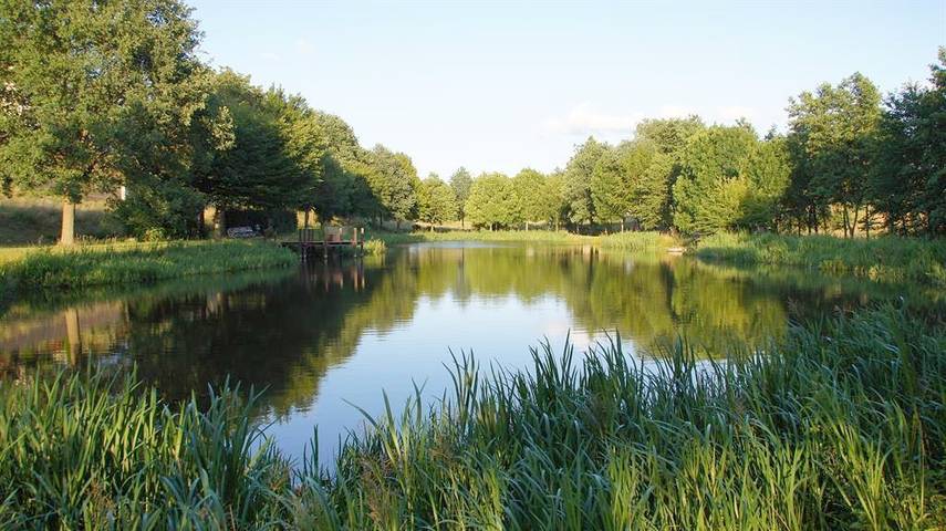 Ferienhaus für 6 Personen, mit Balkon, kinderfreundlich in Cochem-Zell - 3