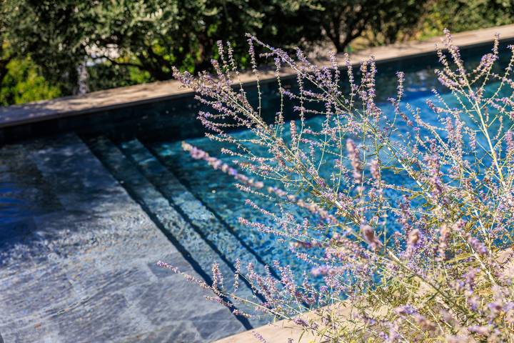 Villa Eden in Saint-Paul-de-Vence, Costa mediterránea (Francia)