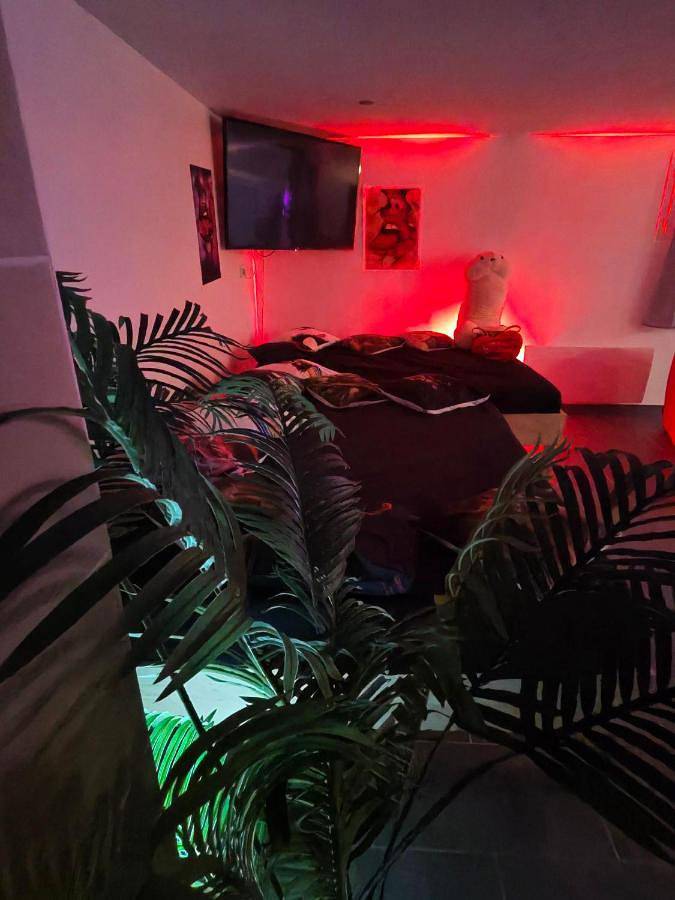 Maison d’hôte pour 2 personnes, avec jardin ainsi que piscine et jacuzzi dans le Tarn - 3