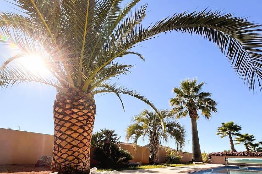 Appartement entier, Gîte les palmiers in Roquebrune-sur-Argens, Côte méditerranéenne (France)