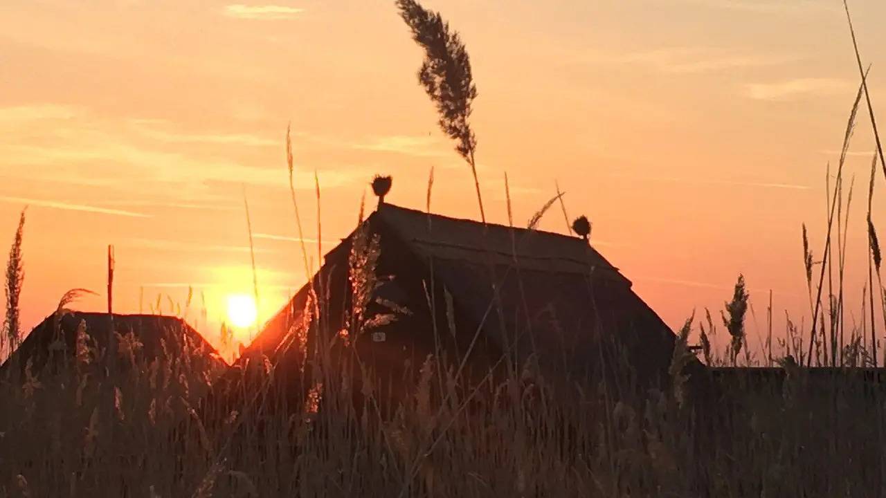 Ferienhaus für 4 Personen (35 m²) in Rust (Burgenland) in Rust (Burgenland), Leithaberg