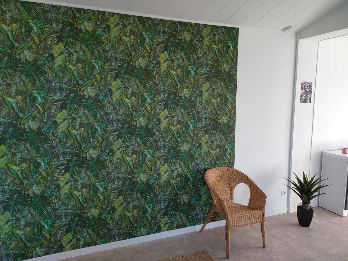 Grand studio centre ville Bretignolles in Bretignolles-sur-Mer, Vallée de la Loire
