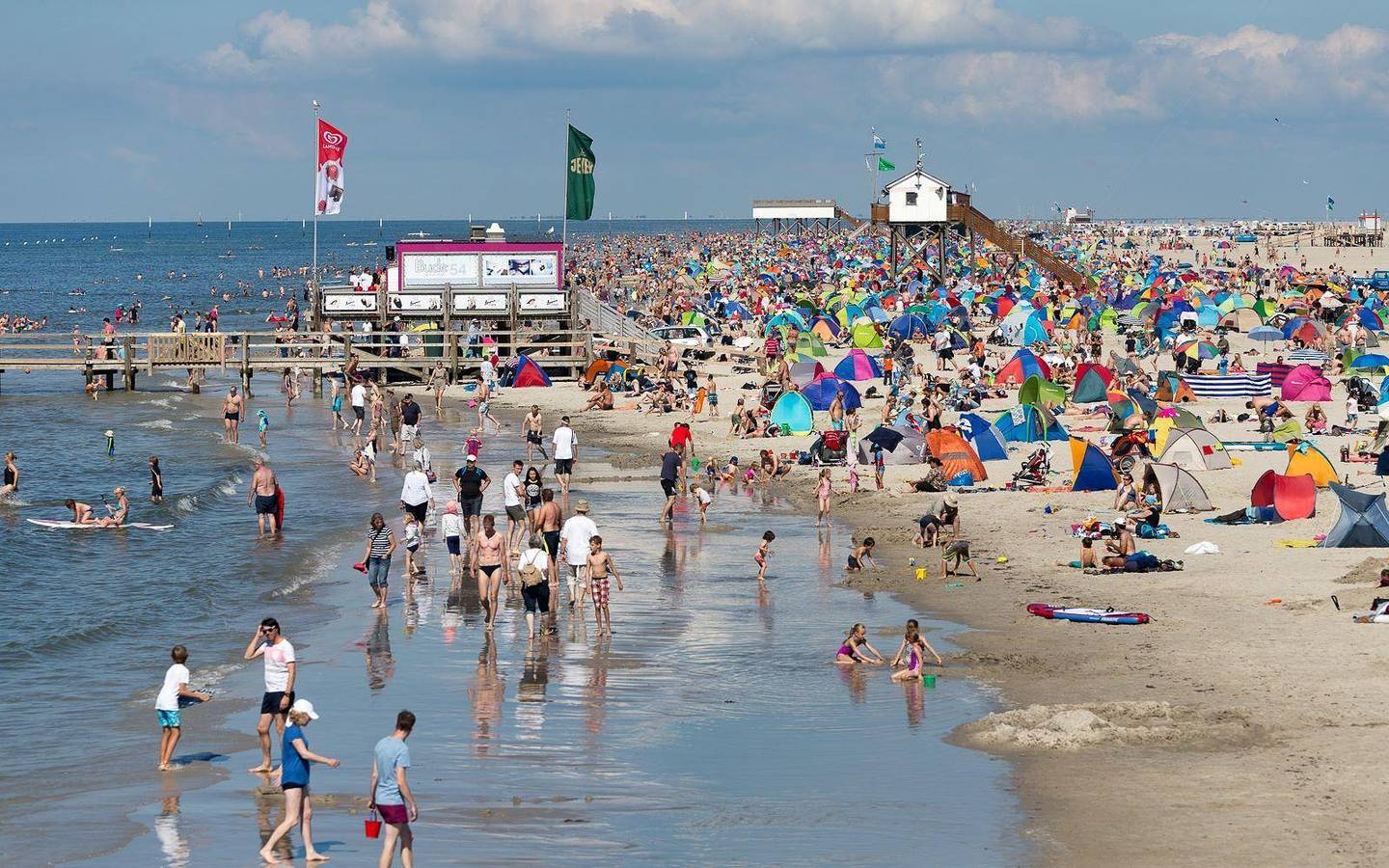 Ganzes Studio, Zaunkönig in St. Peter-Ording, Eiderstedt