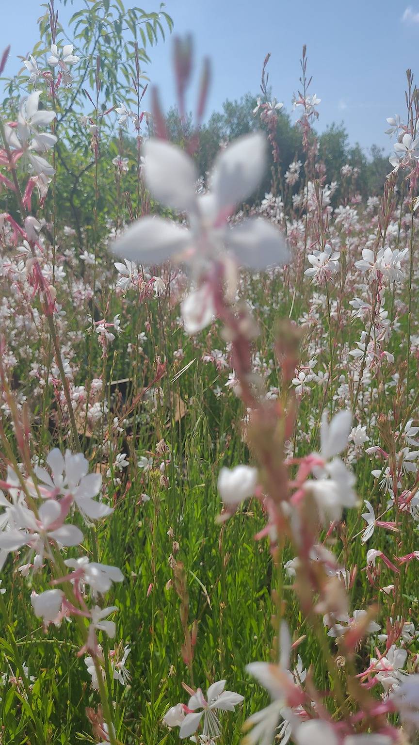 Gîte « Mas Cornille » avec vue sur la montagne, Wi-Fi et climatisation in Fontvieille, Région d'Arles