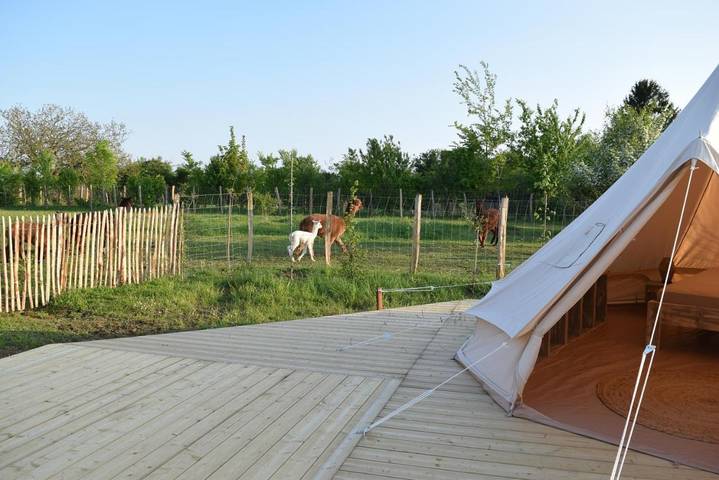 Gîte pour 5 personnes, avec piscine et jardin à Ambillou-Château - 3