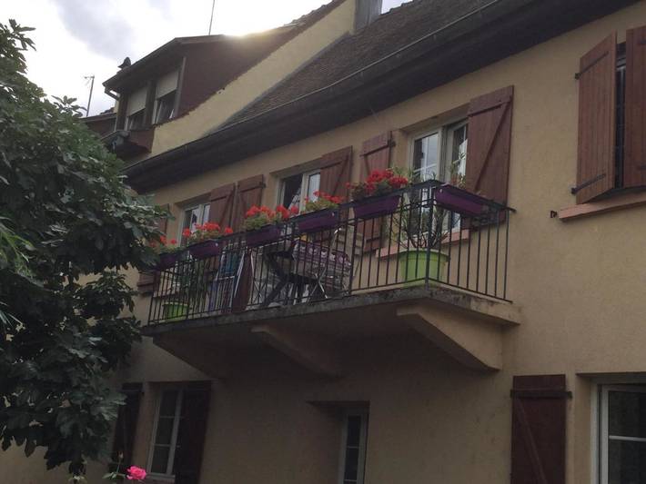 Location de vacances pour 5 personnes, avec jardin et vue à Ingersheim - 2