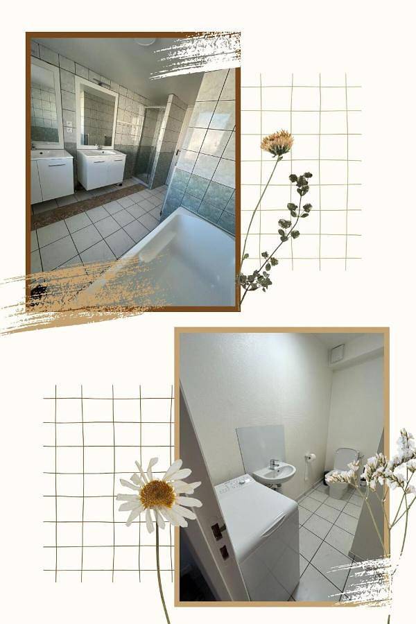 Gîte pour 6 personnes, animaux acceptés à Saint-Priest-en-Jarez - 4