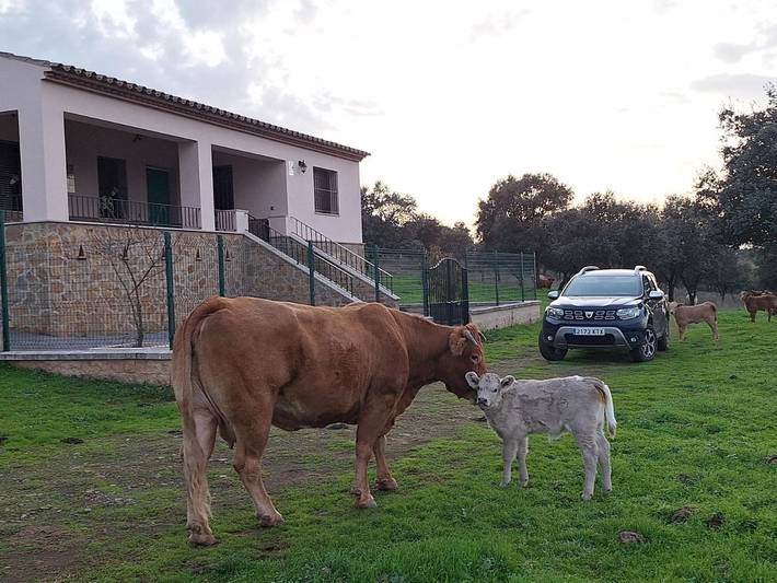 Casa rural para 5 personas, con jardín además de vistas y piscina en Cumbres Mayores