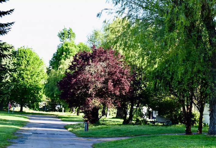 Camping pour 6 personnes en Bourgogne - 3