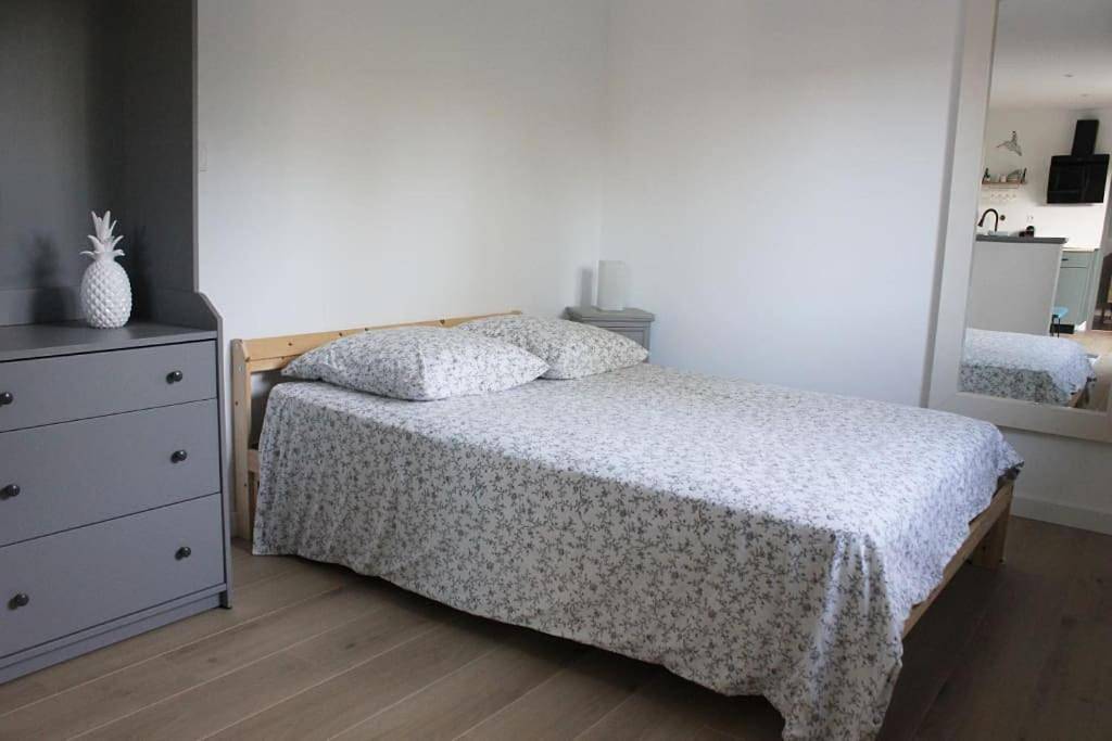 Appartement entier, Studio avec terrasse et parking in Castelginest, Toulouse et ses environs