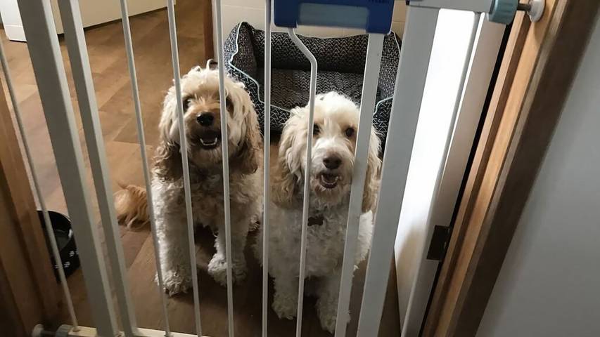 Holiday home for 7 people, with balcony, with pets in Inverloch