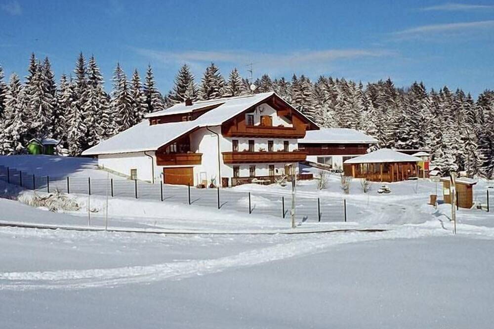 Apartamento inteiro, Casa de férias no meio da baía. Floresta com 2 quartos e varanda in Neureichenau, Baviera Oriental