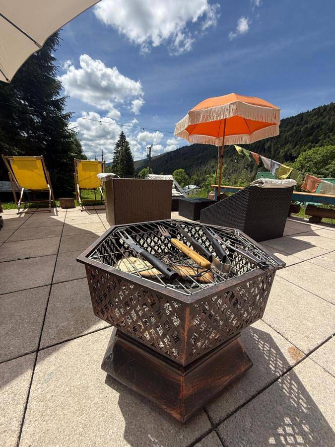 Location de vacances pour 14 personnes, avec jardin et vue, adapté aux familles à Mijoux - 3