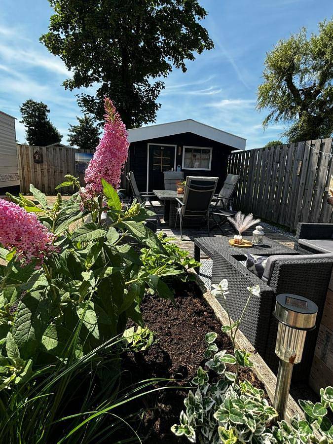Gîte pour 5 personnes, avec piscine ainsi que jardin et bassin pour enfant à Schagen - 3
