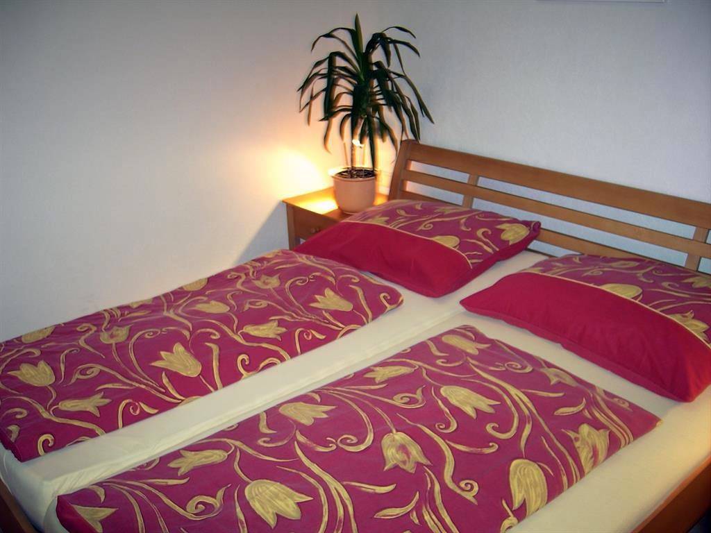 Ganze Ferienwohnung, Apartment/3 Schlafräume/Dusche, Wc in Dienten am Hochkönig, Pinzgau