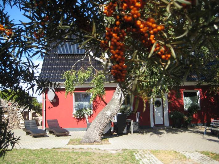 Ferienwohnung für 4 Personen, mit Terrasse, kinderfreundlich in Rostock und Umgebung - 2