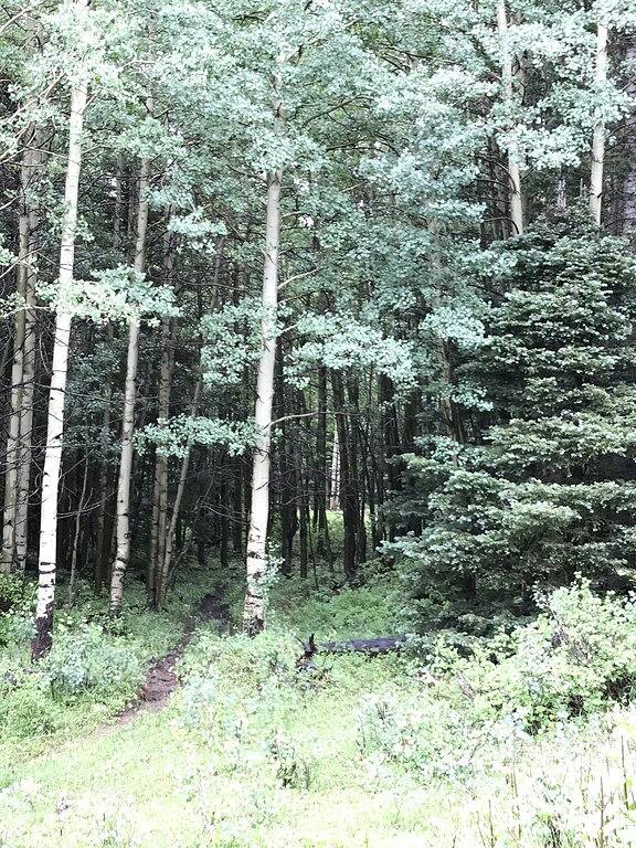 Wanderwege Ende
Check out Neues April-Special! in Angel Fire, Colfax County