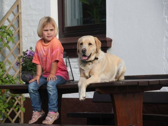 Bauernhof für 8 Personen, mit Sauna und Garten sowie Whirlpool in Angeln Halbinsel - 3