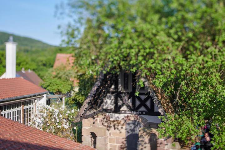 Hotel für 3 Personen, mit Terrasse und Garten in Bad Emstal - 2