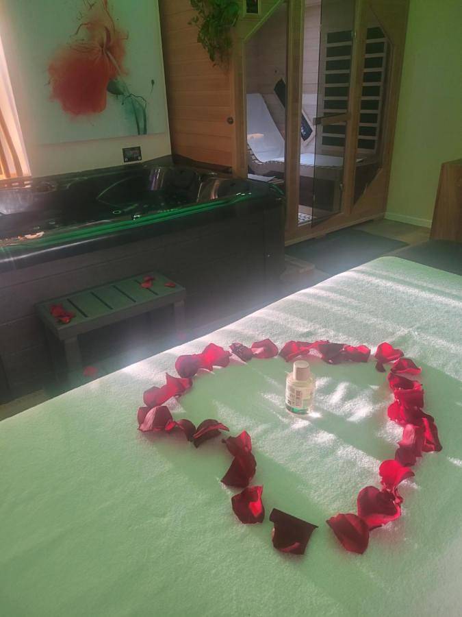 Maison d’hôte pour 2 personnes, avec piscine et jardin ainsi que sauna et jacuzzi, animaux acceptés à Cabannes - 4