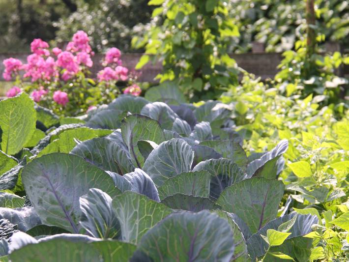 Ferienhaus für 6 Personen, mit Garten und Balkon, mit Haustier in Attendorn - 4