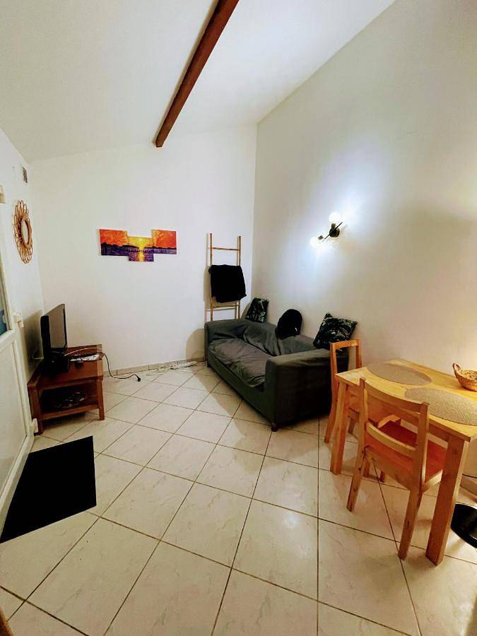 Gîte pour 3 personnes, animaux acceptés à Le Perreux-sur-Marne - 4