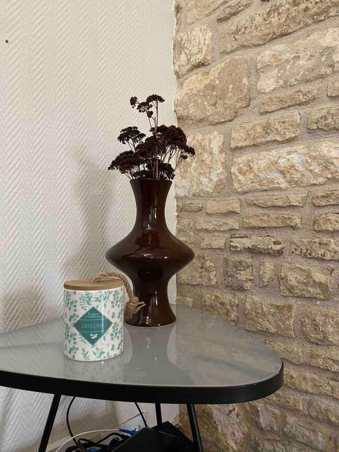 Gîte pour 5 personnes, avec jardin et terrasse à Jarnac - 4