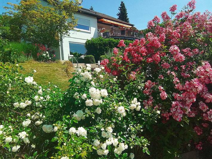Appartement de vacances pour 2 personnes, avec jardin