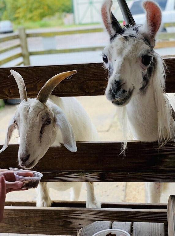 Luxury 2 Master suite with Hot Tub & Sauna in Masthope, Pike County