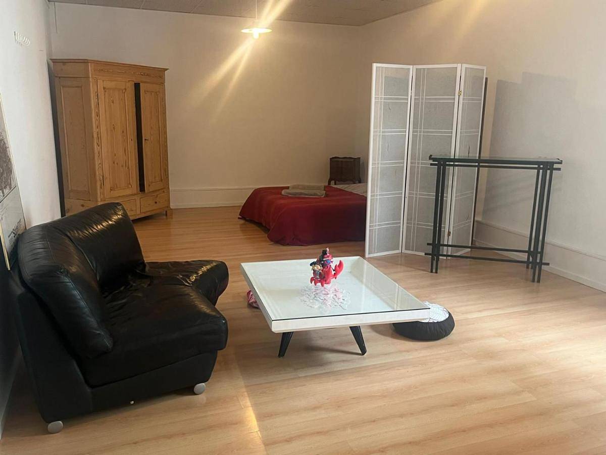 Appartement de vacances entier, Vaste chambre au centre ville, à 2 minutes du Lac in Neuchâtel, Lake Neuchâtel