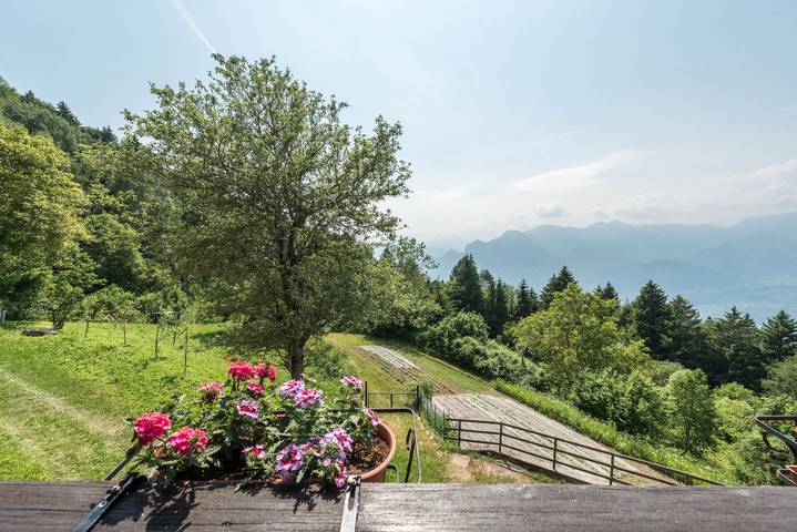 Holiday apartment for 2 people, with garden and balcony, with pets - 1
