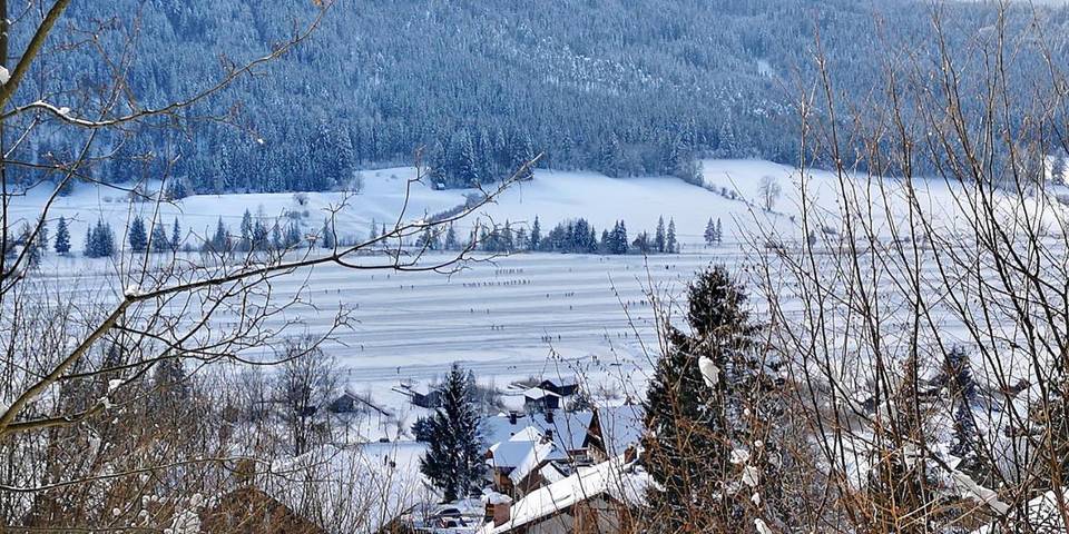 Ferienwohnung für 6 Personen, mit Seeblick und Garten sowie Ausblick am Weissensee - 3