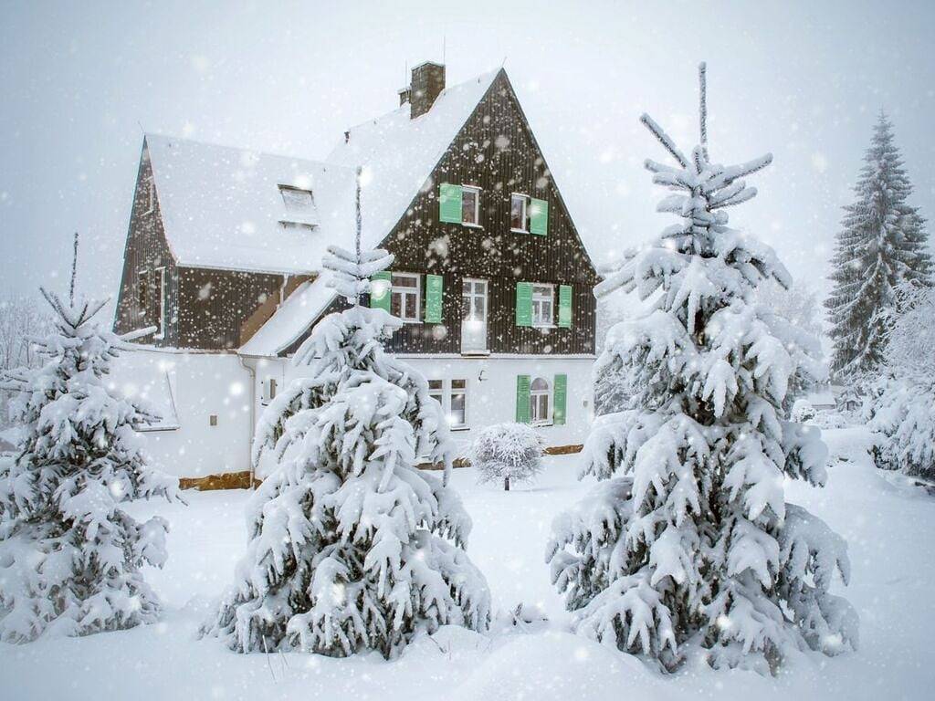 Waldfrieden Komfortable Ferienresidenz in Altenberg, Osterzgebirge