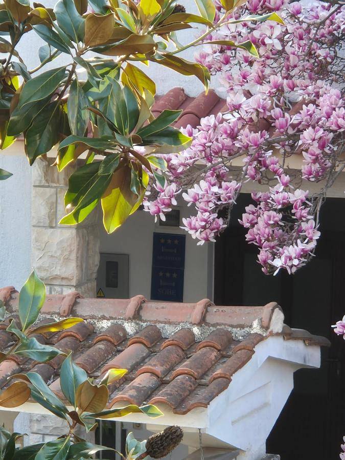 Ganze Wohnung, Apartments Villa Martinuzzi in Rovinj Riviera, Rovinj