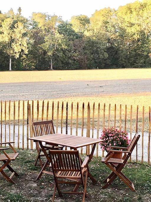 Location de vacances pour 10 personnes, avec jardin et jacuzzi à Cintegabelle - 2