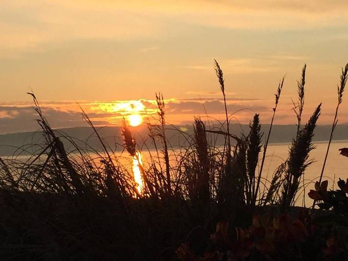 Bed and breakfast for 4 people, with view, with pets in Dorset