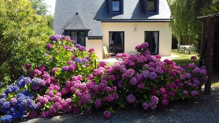 Gîte pour 6 personnes, avec jardin et terrasse à Penvénan