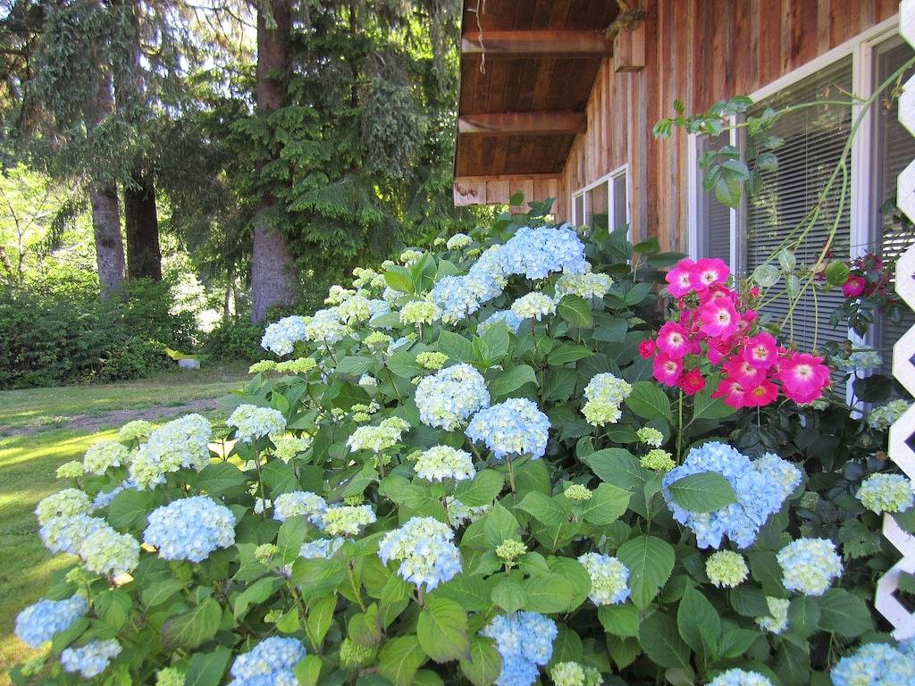 Great All Cedar Cabin auf dem Sol Duc River - In der Nähe der beliebtesten Plätze des Parks in Clallam County
