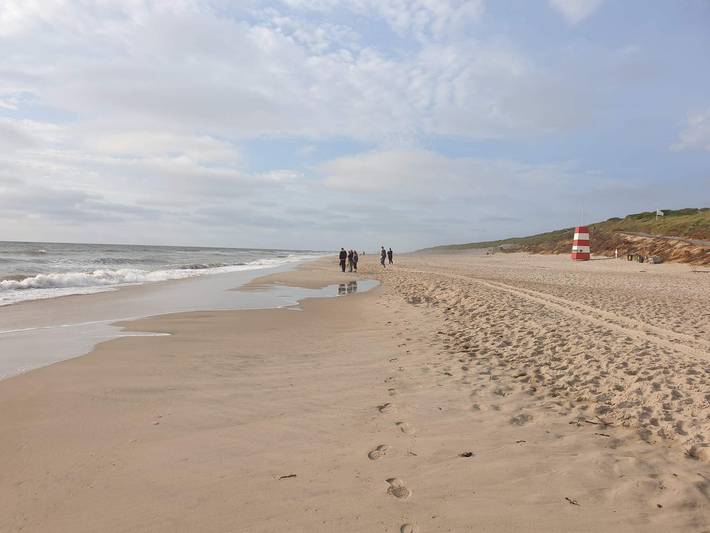 Ferienhaus für 4 Personen, mit Pool und Terrasse, mit Haustier in Søndervig - 3