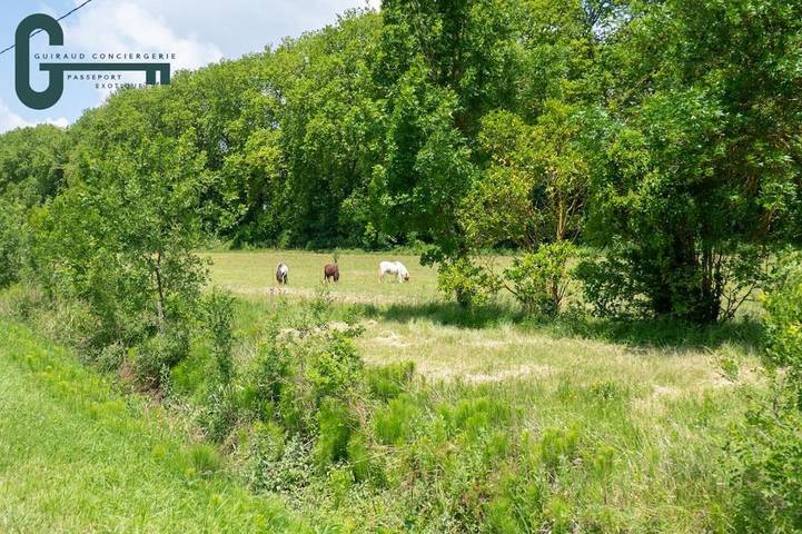 Location de vacances pour 6 personnes, avec piscine et jardin ainsi que sauna et vue, animaux acceptés à Mas-Saintes-Puelles - 4