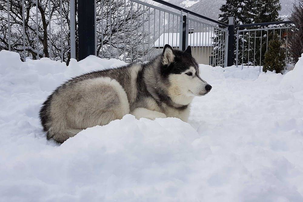 Ganze Wohnung, Apart Sunnseita - Ferienwohung mit wunderbarem Burg Laudeckblick in Glockturmkamm, Prutz
