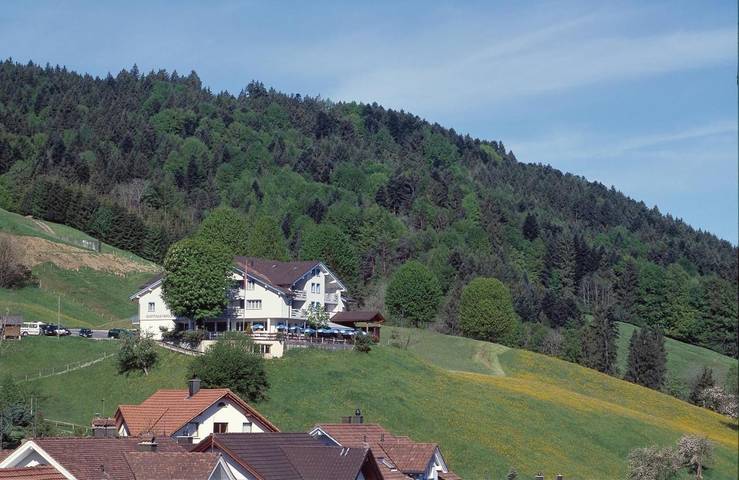 Hôtel pour 2 personnes, avec vue et jardin à Appenzell - 3