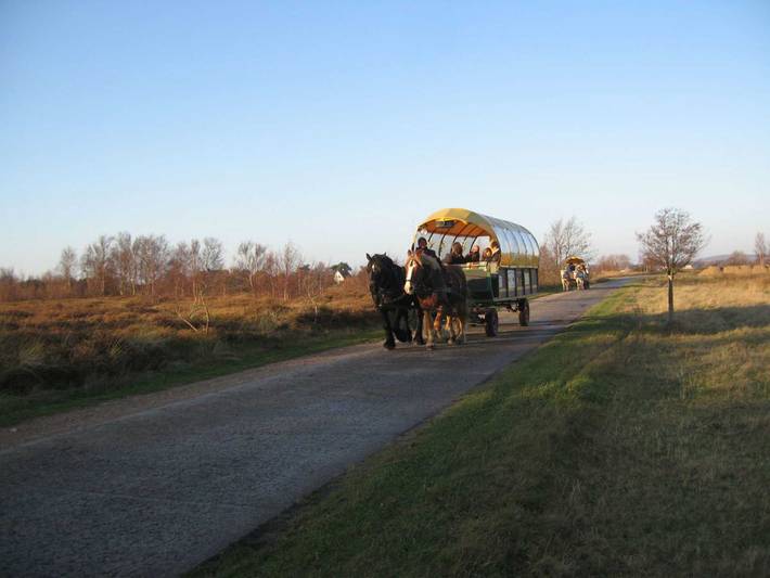 Ferienwohnung für 3 Personen, mit Balkon, kinderfreundlich auf Hiddensee - 3
