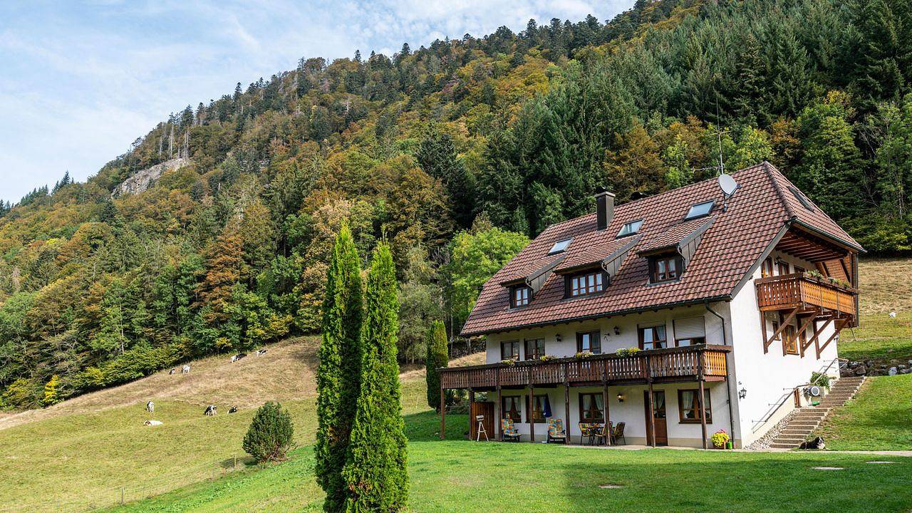 Ganze Ferienwohnung, Ferienwohnung für 4 Personen (48 m²) in Oberried in Suedlicher Schwarzwald, Oberried