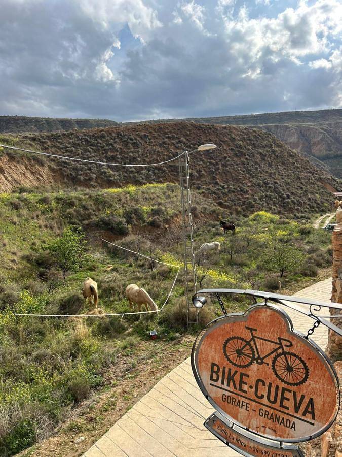 Bike Cueva - Desierto in Gorafe, Géoparc de Grenade