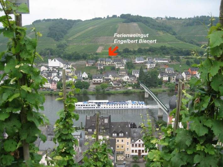 Ferienwohnung für 2 Personen, mit Garten und Terrasse, kinderfreundlich in Zell Stadt (Mosel) - 3