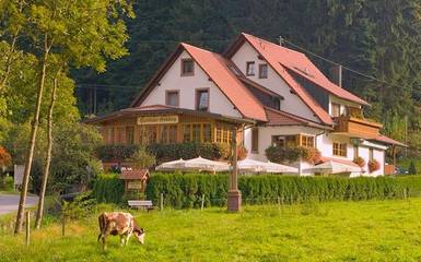 Maison d’hôte pour 2 personnes, avec vue et terrasse, animaux acceptés à Durbach